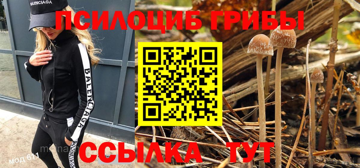 Галлюциногенные грибы прущие грибы  Вход с VPN  Псилоцибиновые грибы Psilocybine cubensis  Коряжма 