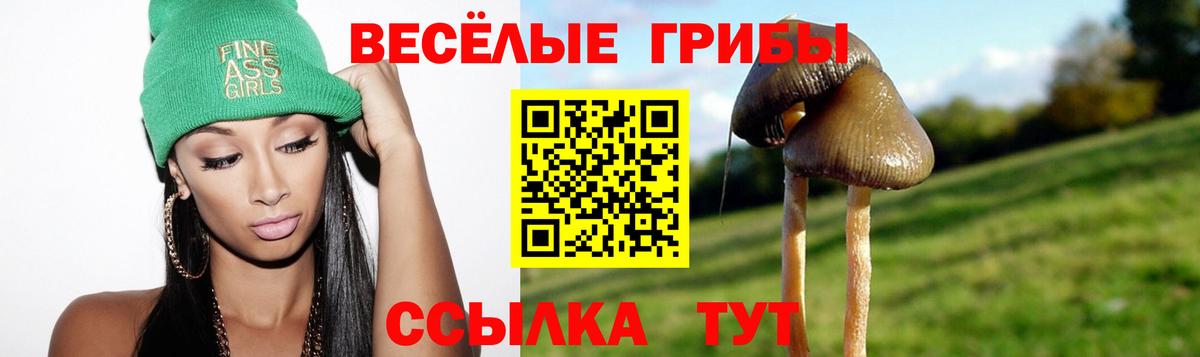 Галлюциногенные грибы ЛСД Коряжма